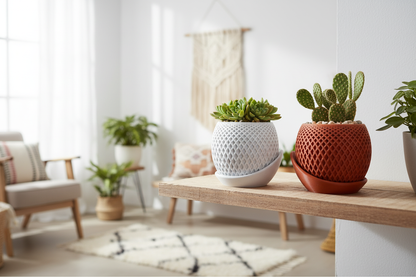 Polygon Planter Par — Prateleira Boho com Suculentas